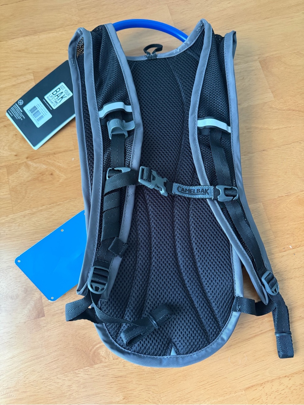 Camelbak Gray Hydration Backpack with Blue Tube - Picture 2 of 9
